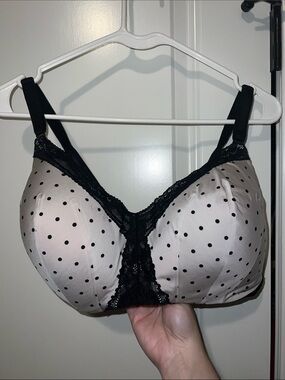 Torrid 40D Dream Wire-Free Lightly Lined Bra Black & White Polka Dog w Lace Trim